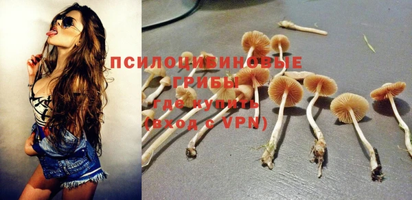 Альфа ПВП Вяземский