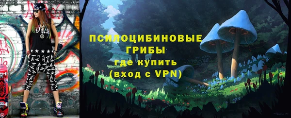 Альфа ПВП Вяземский