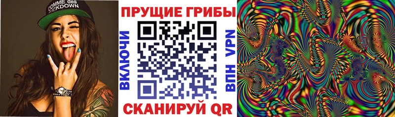 Галлюциногенные грибы Cubensis  Печора 